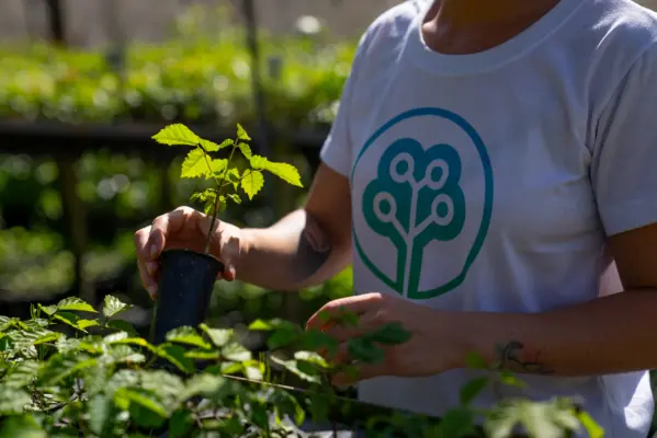 proyecto de siembra de agua en Brasil